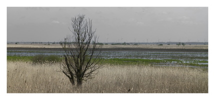 20230429-Motortoertocht-105