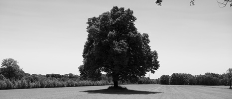 20230527-Fietsen-106