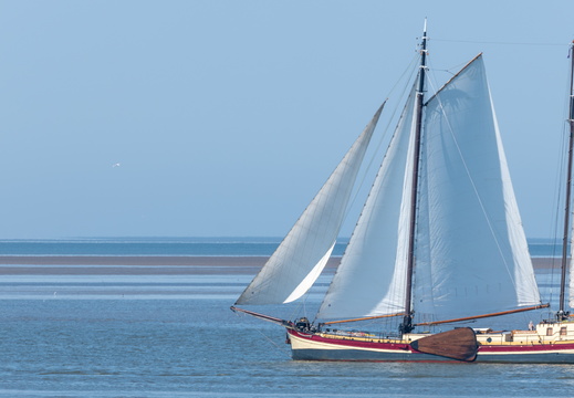 20230612-Friesland-102