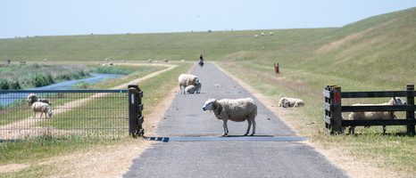 20230612-Friesland-105