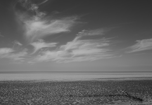 20230612-Friesland-109
