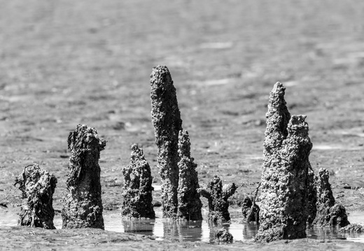 20230612-Friesland-111
