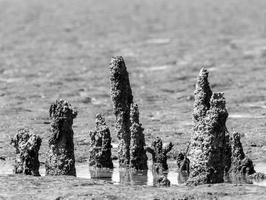 20230612-Friesland-111