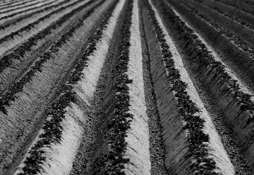 20230612-Friesland-116