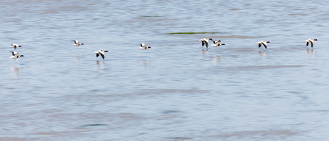 20230612-Friesland-123