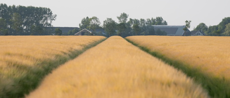 20230612-Friesland-134