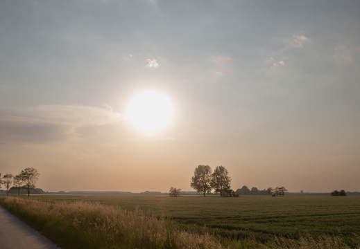 20230612-Friesland-135