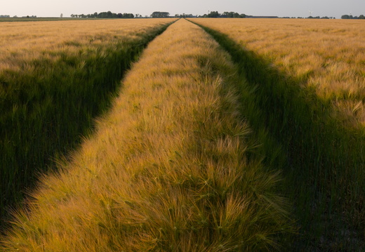 20230612-Friesland-136