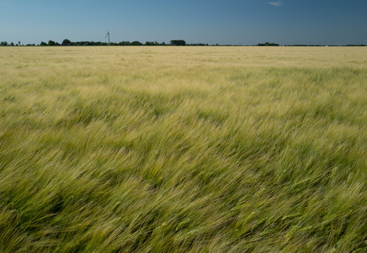 20230613-Groningen-102
