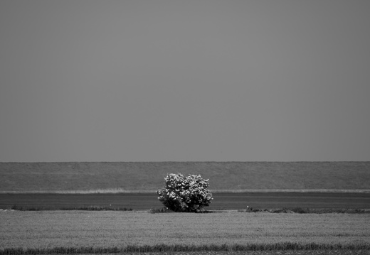20230613-Groningen-123