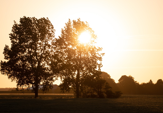 20230613-Zonsondergang-Ulrum-101