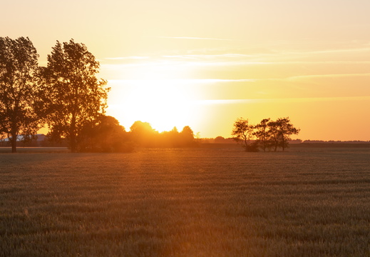 20230613-Zonsondergang-Ulrum-108