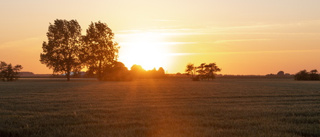 20230613-Zonsondergang-Ulrum-108