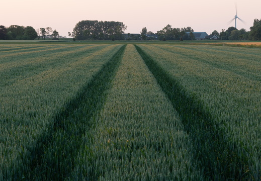 20230613-Zonsondergang-Ulrum-109