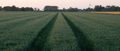 20230613-Zonsondergang-Ulrum-109