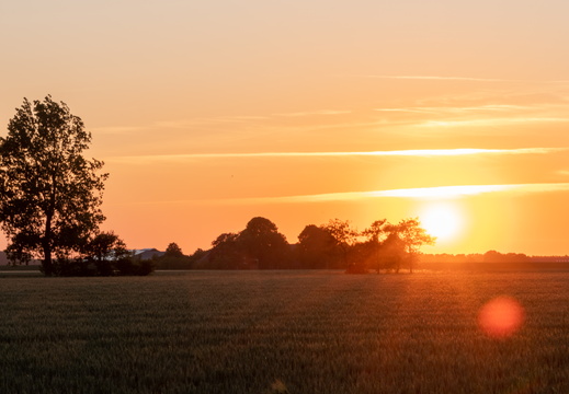 20230613-Zonsondergang-Ulrum-111