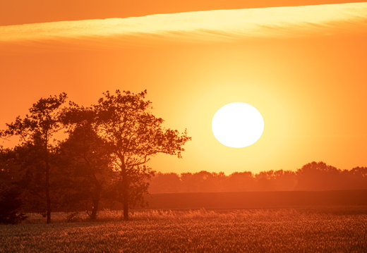 20230613-Zonsondergang-Ulrum-112
