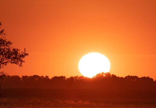 20230613-Zonsondergang-Ulrum-114