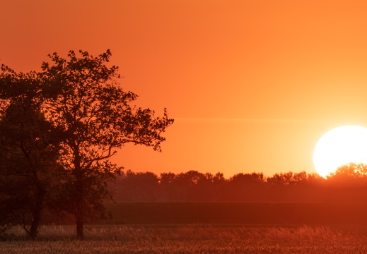 20230613-Zonsondergang-Ulrum-115