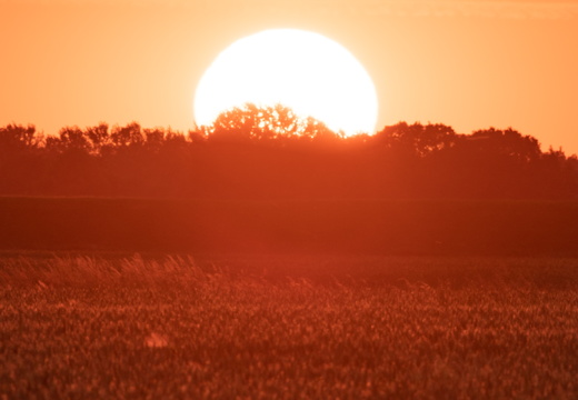 20230613-Zonsondergang-Ulrum-116