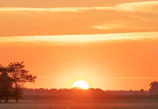 20230613-Zonsondergang-Ulrum-117