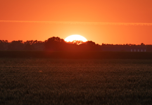 20230613-Zonsondergang-Ulrum-118