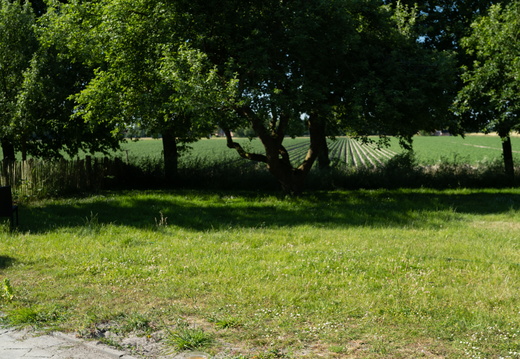 20230614-Groningen-101