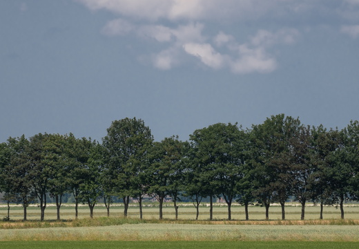 20230614-Groningen-115
