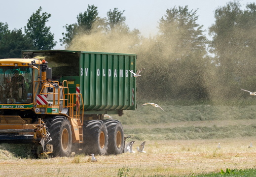 20230614-Groningen-116