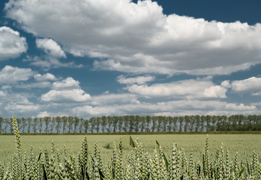 20230614-Groningen-120