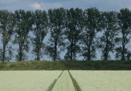 20230614-Groningen-124