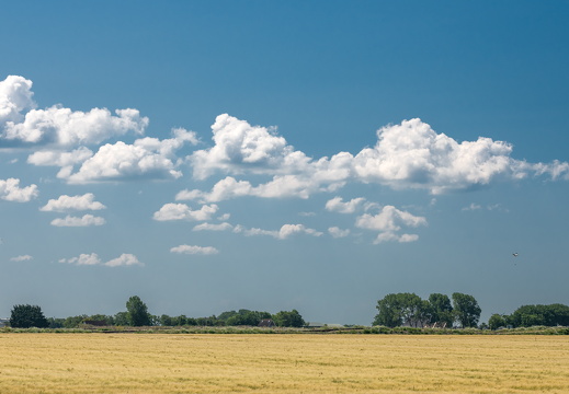 20230615-Friesland-105