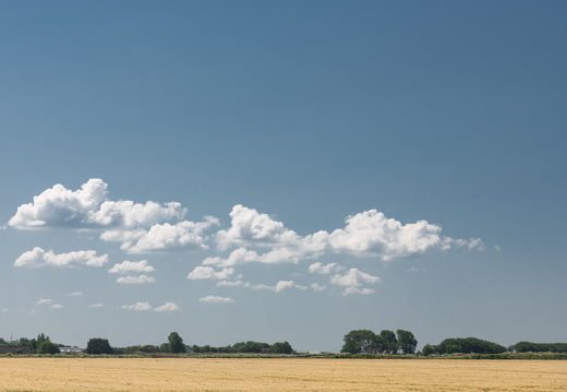 20230615-Friesland-106