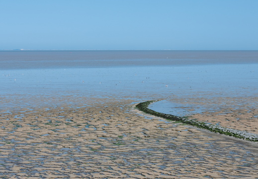 20230615-Friesland-108