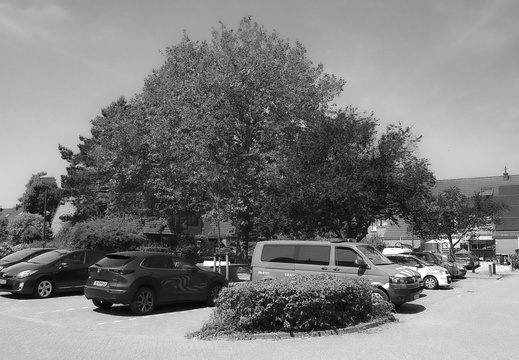 20230614-Dynax9xi-Delta100-20...35mm-133