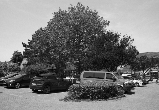 20230614-Dynax9xi-Delta100-20...35mm-136