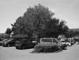 20230614-Dynax9xi-Delta100-20...35mm-136