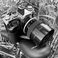 Nikon-FM3a-135mm2.0.jpeg