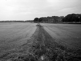 20230709-M3-35mm-Tmax400-Loenen-102