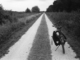 20230709-M3-35mm-Tmax400-Loenen-124