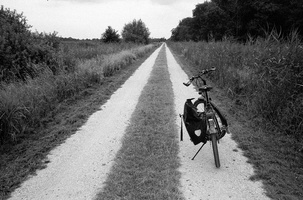 20230709-M3-35mm-Tmax400-Loenen-126