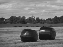 20230715-Fietsen-105