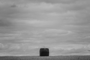 20230715-Fietsen-114