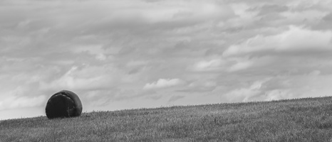 20230715-Fietsen-115