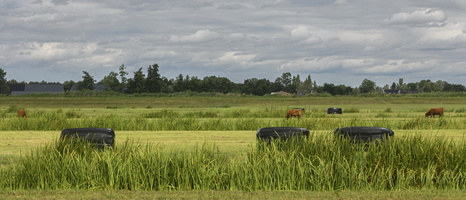 20230715-Fietsen-118