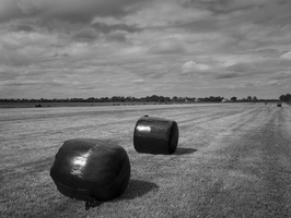 20230715-Fietsen-122