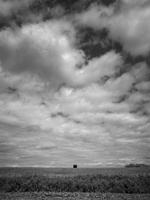 20230715-Fietsen-126