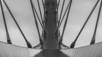 20230722-Fietsen-103