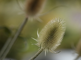20230723-Vecht-101