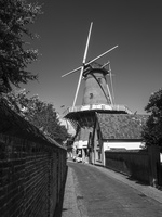 20230812-Q2-Fietsen-110